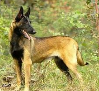 undefined{{pos:,w:,h:}}