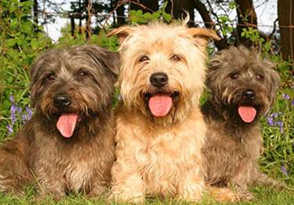 undefined{{pos:,w:,h:}}