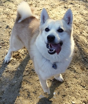 undefined{{pos:,w:,h:}}