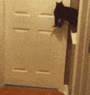 快进来，party要开始了，主银们都睡着了