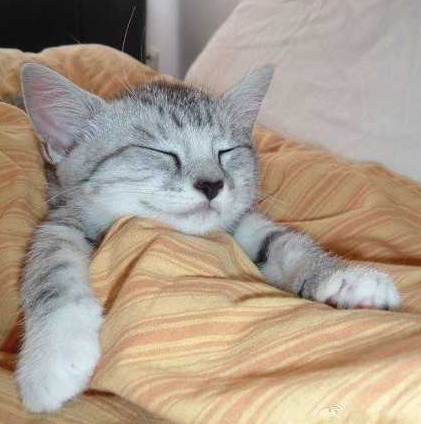 夏天最舒服的就是开空调盖棉被