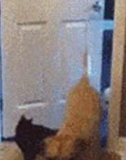 undefined{{pos:,w:,h:}}