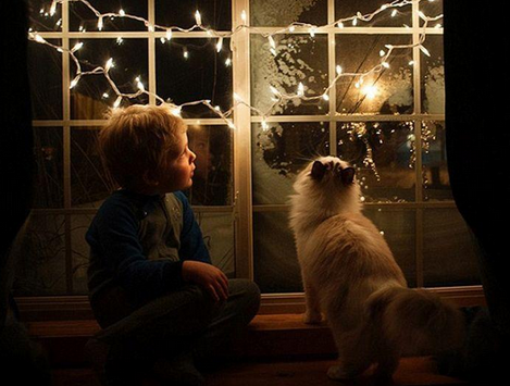 undefined{{pos:,w:,h:}}