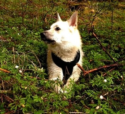 undefined{{pos:,w:,h:}}