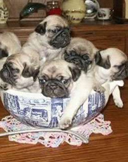 undefined{{pos:,w:,h:}}