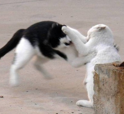 undefined{{pos:,w:,h:}}