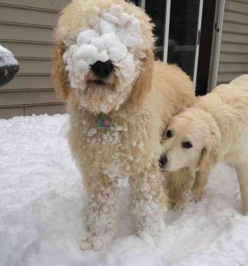 undefined{{pos:,w:,h:}}