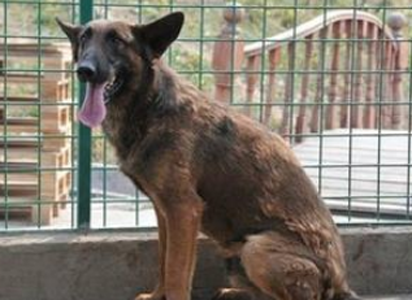 undefined{{pos:,w:,h:}}