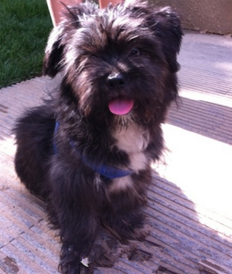 undefined{{pos:,w:,h:}}