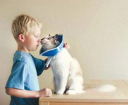 其实我来自嵩山