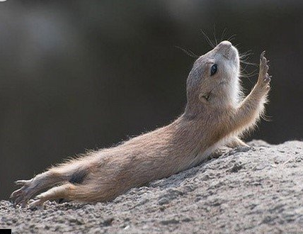 undefined{{pos:,w:,h:}}