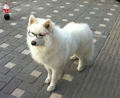 undefined{{pos:,w:,h:}}