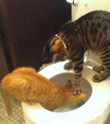 undefined{{pos:,w:,h:}}