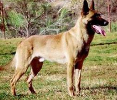 undefined{{pos:,w:,h:}}