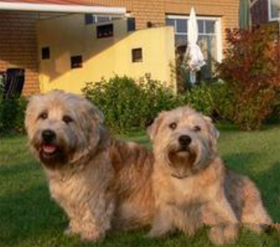 undefined{{pos:,w:,h:}}