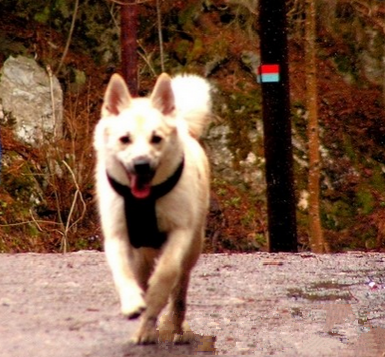 undefined{{pos:,w:,h:}}