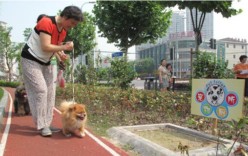 宠物公厕落户冼村 赢得大片养狗人的叫好