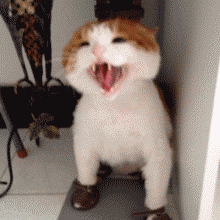 萌死了...饿了要吃么