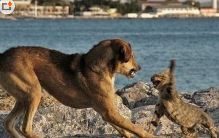 undefined{{pos:,w:,h:}}