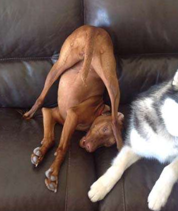 undefined{{pos:,w:,h:}}