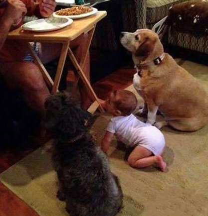 undefined{{pos:,w:,h:}}