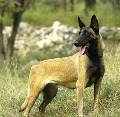 undefined{{pos:,w:,h:}}