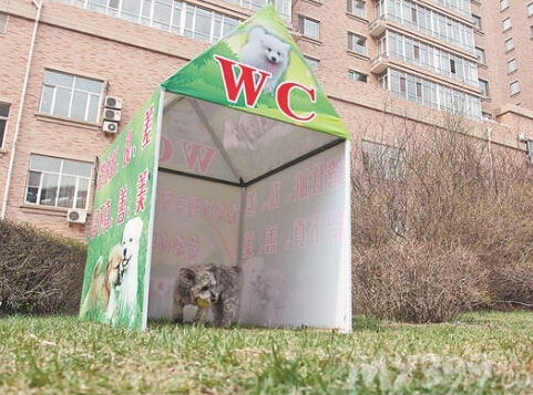 宠物公厕落户冼村 赢得大片养狗人的叫好