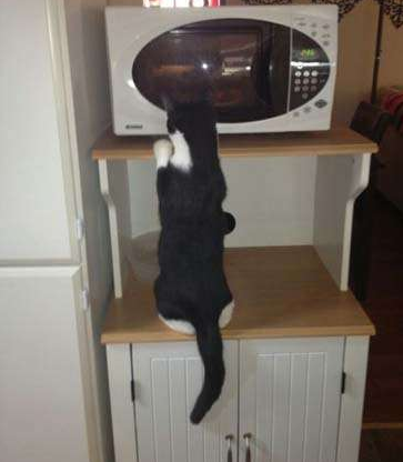 里面有什么好吃的呢