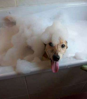 undefined{{pos:,w:,h:}}