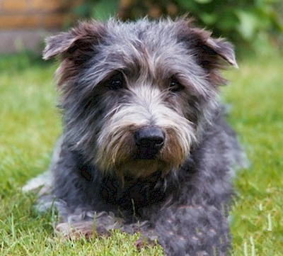 undefined{{pos:,w:,h:}}